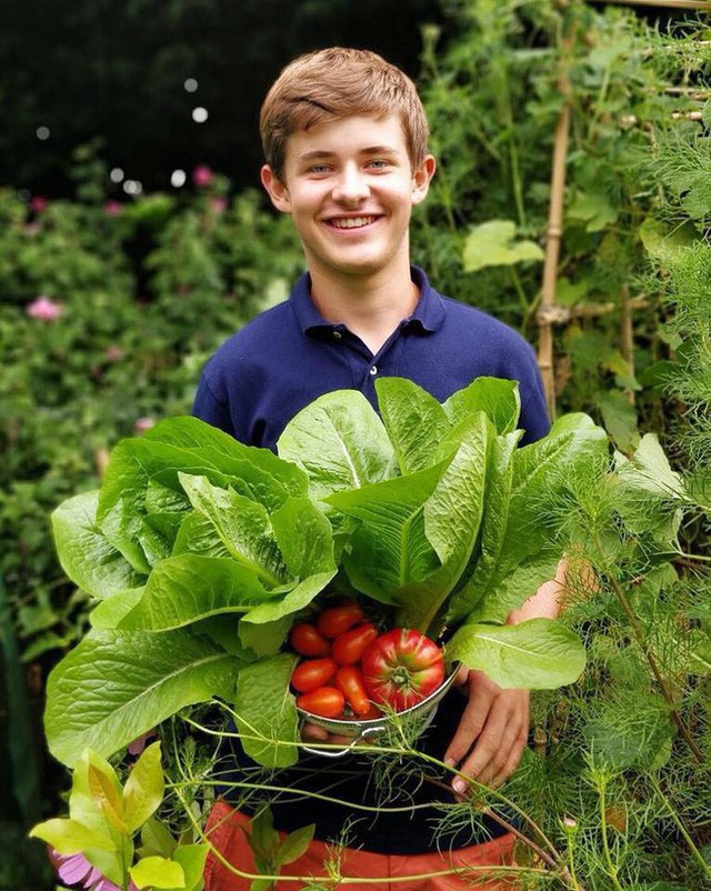 Vườn rau nhỏ tươi tốt với đủ loại rau của chàng trai 18 tuổi đam mê trồng trọt - Ảnh 4.