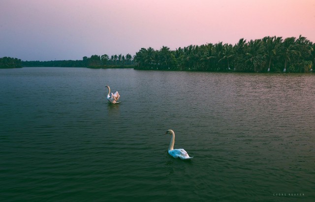 Trải nghiệm cắm trại qua đêm như trời Tây giữa không gian xanh KĐT Ecopark - Ảnh 6.