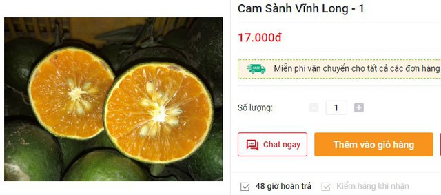 Cam sành loạn giá, có nơi bán gần trăm nghìn/kg - Ảnh 4.