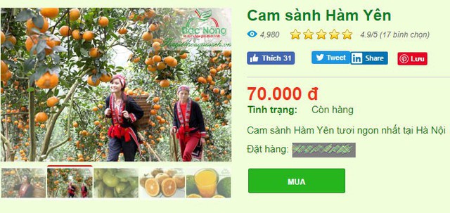 Cam sành loạn giá, có nơi bán gần trăm nghìn/kg - Ảnh 3.