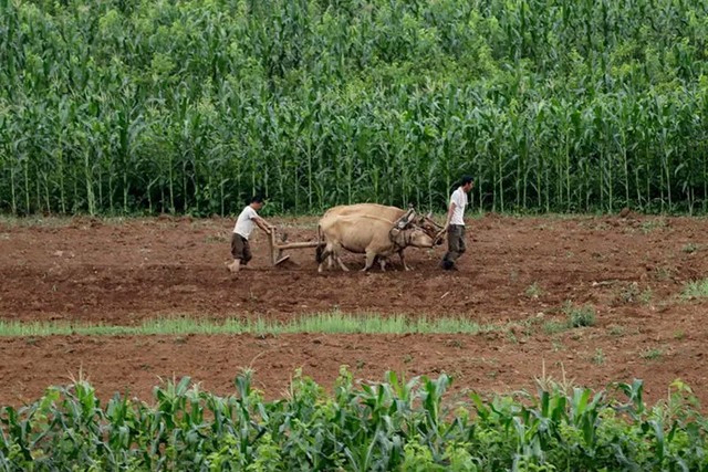 Hé mở cuộc sống bí ẩn của người lao động Triều Tiên - Ảnh 2.