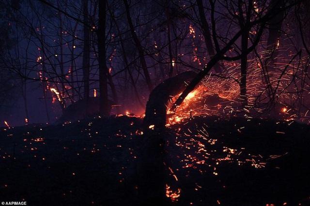 Hãi hùng cảnh cháy rừng dữ dội như ngày tận thế ở Australia - Ảnh 3.