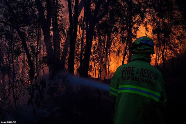 Hãi hùng cảnh cháy rừng dữ dội như ngày tận thế ở Australia - Ảnh 5.