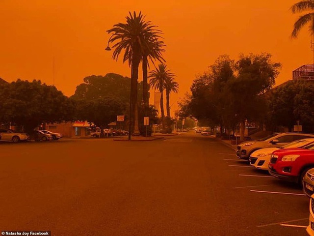 Hãi hùng cảnh cháy rừng dữ dội như ngày tận thế ở Australia - Ảnh 8.