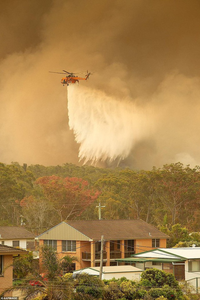 Hãi hùng cảnh cháy rừng dữ dội như ngày tận thế ở Australia - Ảnh 9.
