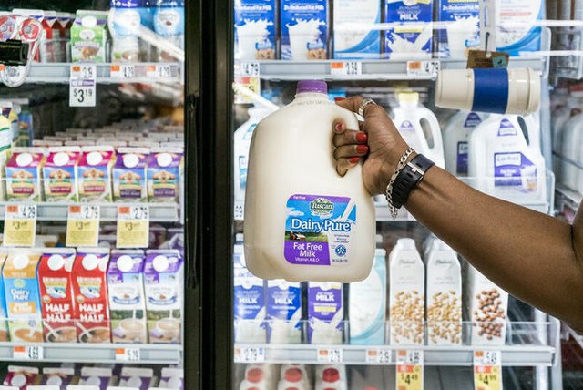 Người tiêu dùng từ bỏ sữa bò, công ty sữa lớn nhất nước Mỹ phá sản - Ảnh 1.
