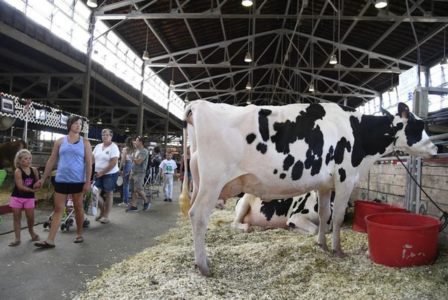 Người tiêu dùng từ bỏ sữa bò, công ty sữa lớn nhất nước Mỹ phá sản - Ảnh 2.