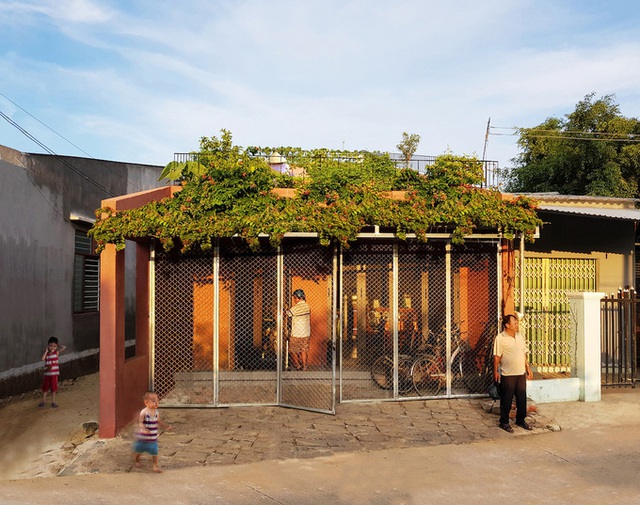 7 bậc thang trồng rau trên mái nhà Quảng Ngãi  - Ảnh 1.