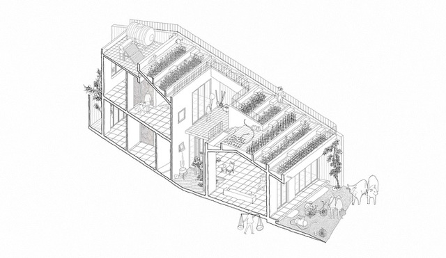 7 bậc thang trồng rau trên mái nhà Quảng Ngãi  - Ảnh 2.