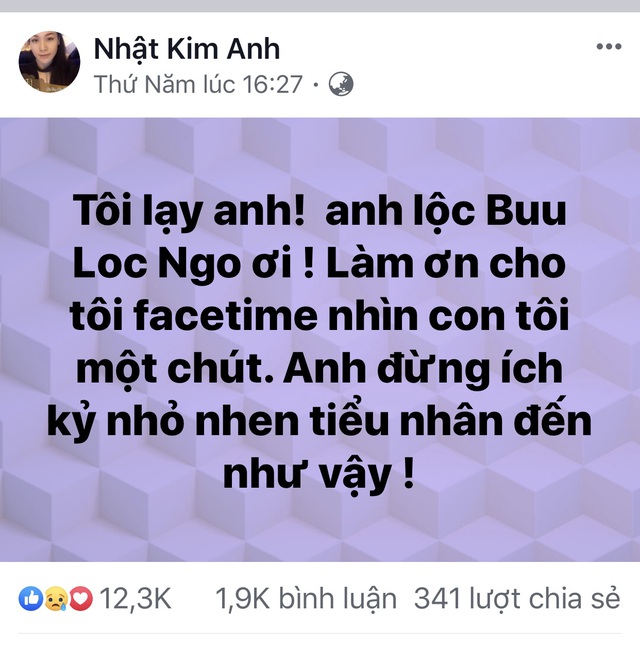 Bị chồng cũ tố, Nhật Kim Anh: ‘Cây muốn lặng mà gió chẳng đừng’ - Ảnh 2.