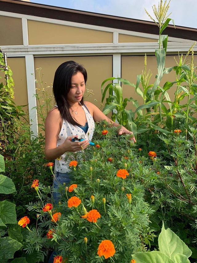 Cô gái trẻ biến sân thượng 20m² thành khu vườn hữu cơ trồng không thiếu thứ gì  - Ảnh 11.