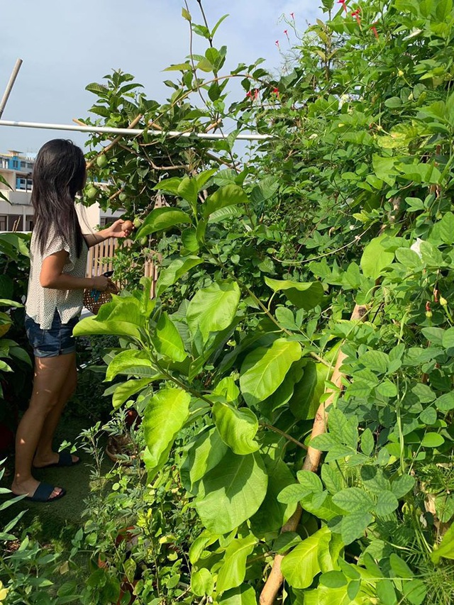 Cô gái trẻ biến sân thượng 20m² thành khu vườn hữu cơ trồng không thiếu thứ gì  - Ảnh 23.