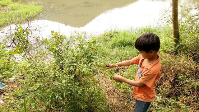 Cậu bé 10 tuổi sống cô độc, đi hàng trăm cây số đưa thi thể bố về chôn cất - Ảnh 9.