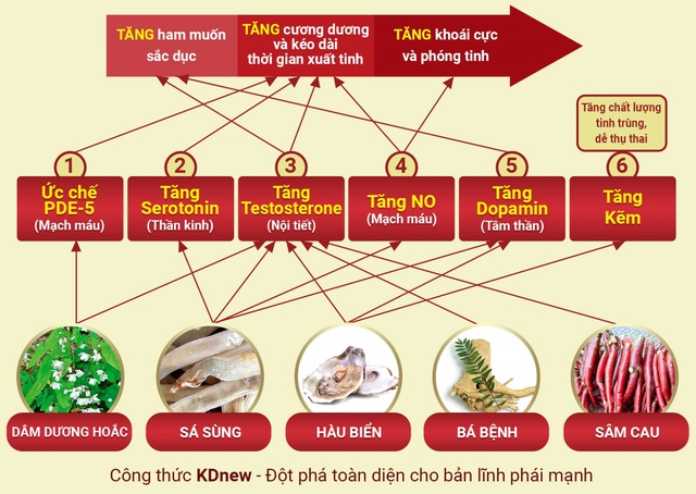 KDnew-  Đột phá toàn diện cho bản lĩnh phái mạnh - Ảnh 2.