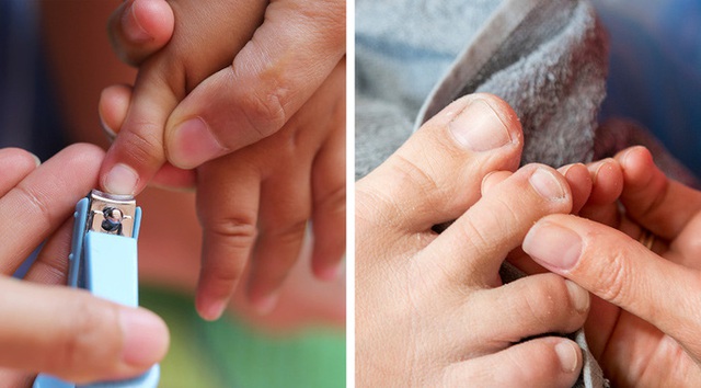 8 đặc điểm tr&ecirc;n cơ thể tưởng v&ocirc; dụng nhưng lại c&oacute; &iacute;ch - Ảnh 5.