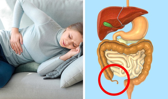 8 đặc điểm tr&ecirc;n cơ thể tưởng v&ocirc; dụng nhưng lại c&oacute; &iacute;ch - Ảnh 8.