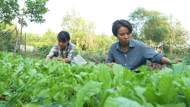 Hai cô gái trẻ bỏ công việc lên rừng làm nông nghiệp thuận tự nhiên - Ảnh 1.