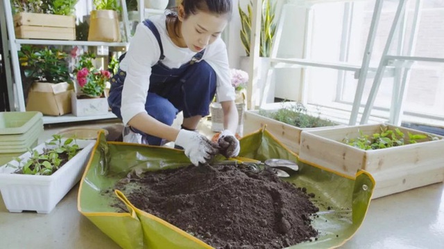 Chỉ vài thao tác, cô gái trẻ đã có thể tự tạo một vườn rau gia vị xanh tốt trong bếp - Ảnh 12.