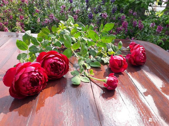 Sân thượng 50m² trồng đủ loại rau sạch và hoa hồng của bà mẹ Hà Nội - Ảnh 27.