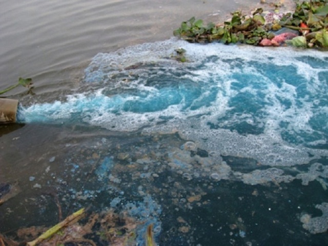 Nhiều giải pháp giảm thiểu ô nhiễm môi trường từ các khu công nghiệp ở Cà Mau - Ảnh 2.
