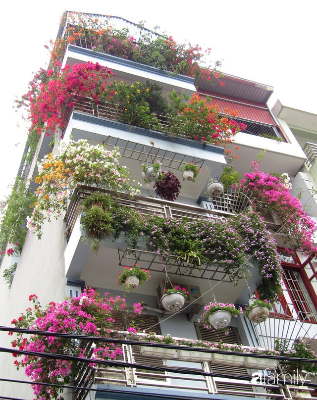 Ngôi nhà 5 tầng đầy hoa thơm phủ kín khắp các ban công của ông bố hai con ở Hà Nội - Ảnh 2.