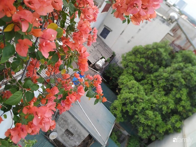 Ngôi nhà 5 tầng đầy hoa thơm phủ kín khắp các ban công của ông bố hai con ở Hà Nội - Ảnh 16.