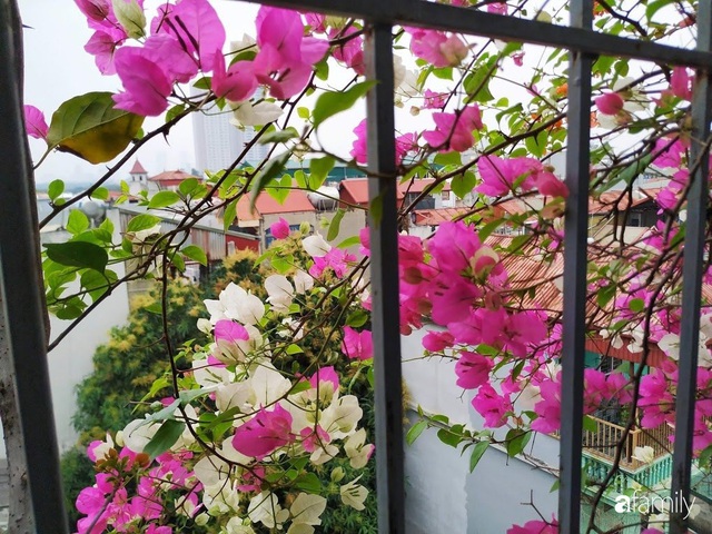 Ngôi nhà 5 tầng đầy hoa thơm phủ kín khắp các ban công của ông bố hai con ở Hà Nội - Ảnh 20.