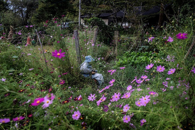 Ngôi làng búp bê ở Nhật Bản, nơi 18 năm qua không có trẻ em - Ảnh 8.
