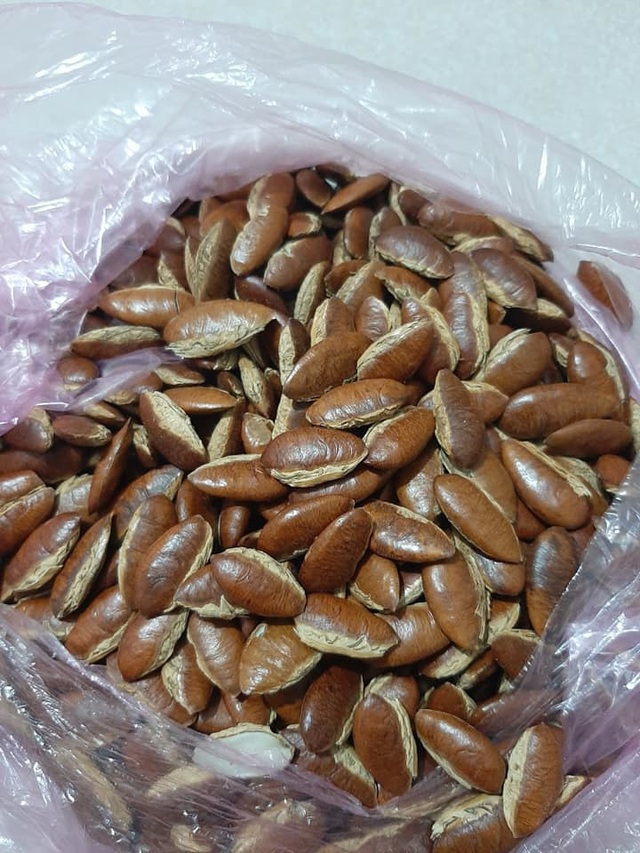 Ăn hạt Kơnia, H&agrave; th&agrave;nh đua nhau mua đồ rừng đ&atilde;i kh&aacute;ch ng&agrave;y Tết - Ảnh 4.