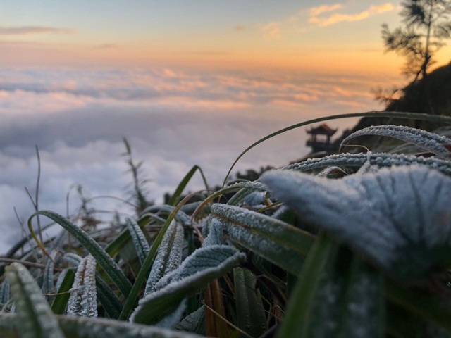 Nhiệt độ Sapa xuống 0 độ C, đỉnh Fansipan phủ trắng sương  - Ảnh 3.