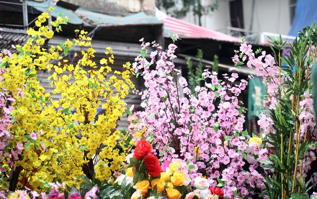 Những loài hoa cổ truyền của Việt Nam như: Đào đỏ, mai vàng, hoa hồng...