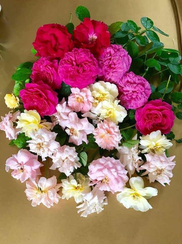 Hoa sẵn trong vườn nên chị Hiền thường xuyên có những bình hoa đẹp để tô điểm cho không gian sống.