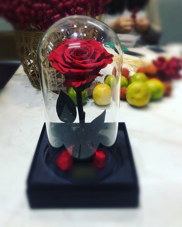 
Hoa hồng bất tử dù có giá lên tới 3,5 triệu đồng/bông vẫn đắt khách dịp lễ Valentine
