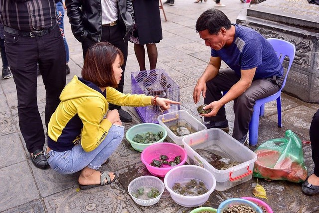 
Đ&aacute;ng ch&uacute; &yacute; trong số n&agrave;y c&oacute; rất nhiều r&ugrave;a tai đỏ được b&agrave;y b&aacute;n
