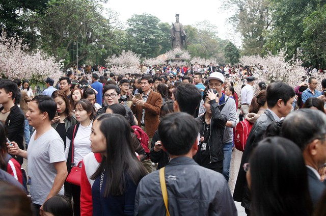 
Lễ hội Hoa anh đào đã trở thành món ăn tinh thần của người Hà Nội nhiều năm nay.
