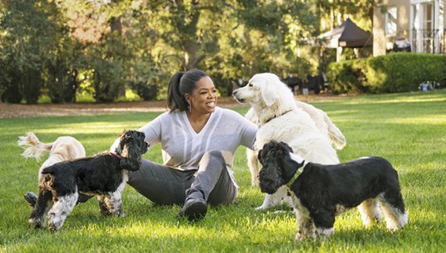 Tiếp theo là 5 chú chó có tên Sadie, Sunny, Lauren, Layla và Luke của MC Oprah Winfrey. Mỗi chú chó này đều có một quỹ ủy thác và được để lại tổng số tiền 30 triệu USD trong di chúc của nữ MC người Mỹ.