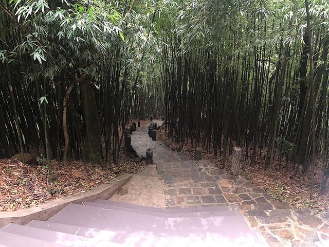 Nữ ca sĩ thích thú chia sẻ ảnh ở Tam Đảo. Tiết trời đẹp và trong lành, lý tưởng cho kỳ nghỉ của đại gia đình sau một năm bận rộn.