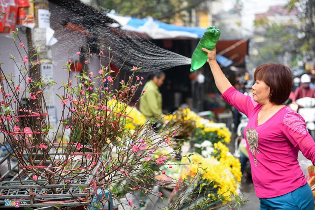Những ng&agrave;y gi&aacute;p Tết, phố phường H&agrave; Nội l&uacute;c n&agrave;o cũng t&iacute;u t&iacute;t. C&aacute;c nh&agrave; đều tranh thủ đi mua sắm sớm để c&ograve;n t&iacute;ch trữ.