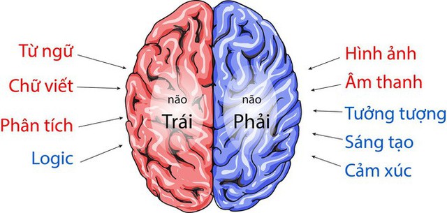 Chỉ cần có 6 thói quen tốt này, não ngày càng trẻ: Người lao động trí óc nên áp dụng sớm - Ảnh 2.