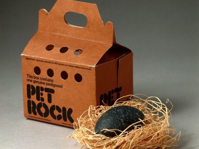 Nghe bạn bè nói về những nguy hiểm khi chăm sóc thú cưng, Gary Dahl (San Jose, Mỹ), đã tạo ra Pet Rock vào năm 1975. Nó đơn giản là một hòn đá, được ông giới thiệu là thú cưng không rắc rối. Ông bán hòn đá cùng một quyển hướng dẫn huấn luyện thú cưng và một hộp giấy dùng để vận chuyển. Sản phẩm của ông lập tức gây sốt, mang về cho ông 7 triệu USD. Sau đó, ông cố gắng tạo ra những sản phẩm ăn theo Pet Rock nhưng đều thất bại.