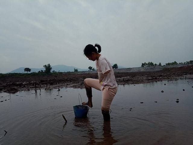 Ngày nắng cũng như ngày mưa, Vân đều lặn lội bắt vang bán phụ chồng kiếm tiền. Ảnh: HUYỀN ANH