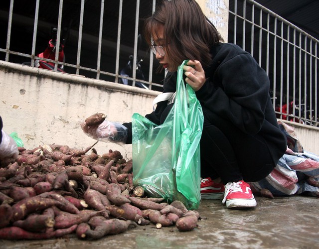 Nhiều nữ sinh cho biết, bản thân rất thích ăn loại khoai này bởi khá ngon, ngọt và có nhiều dinh dưỡng.