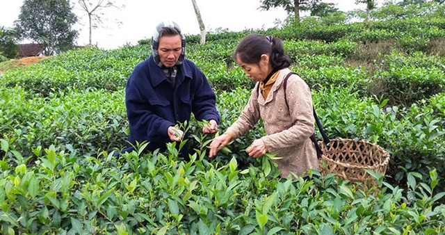 Vượt qua sự khó khăn đến từ những ánh nhìn dị nghị mẹ ghẻ - con chồng trong thời gian đầu, người phụ nữ xứ Nghệ đã cố gắng dành trọn cả phần đời còn lại để chăm sóc và yêu thương tận tình 8 đứa con riêng, chăm lo từng bữa ăn, giấc ngủ, thậm chí là tâm sự và động viên.