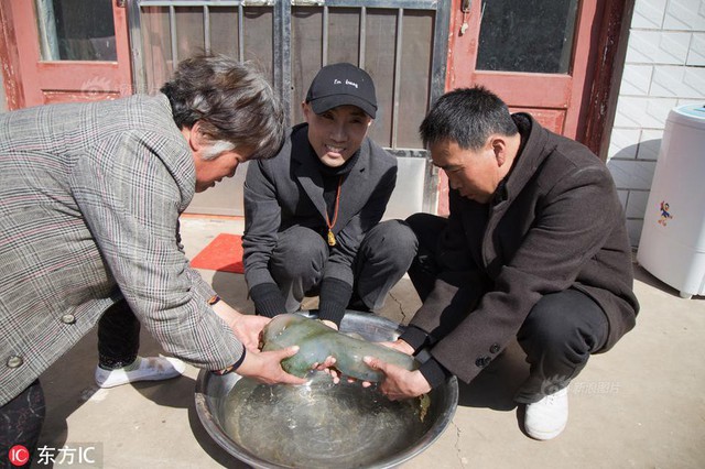 
 Vật thể lạ đ&atilde; thu h&uacute;t sự ch&uacute; &yacute; đặc biệt.
