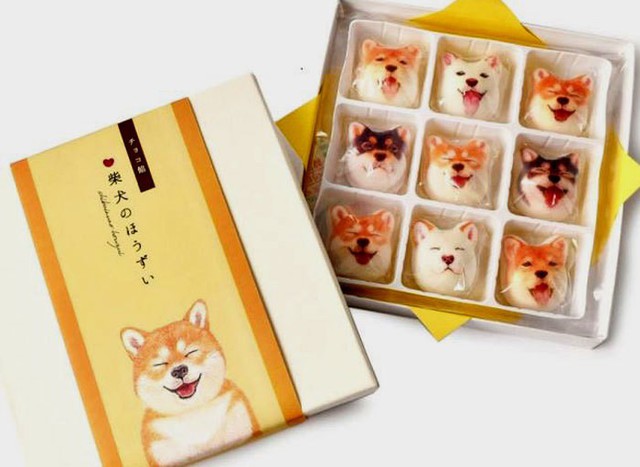 
 Một hộp kéo chó shiba 9 viên có giá lên tới 500.000 đồng
