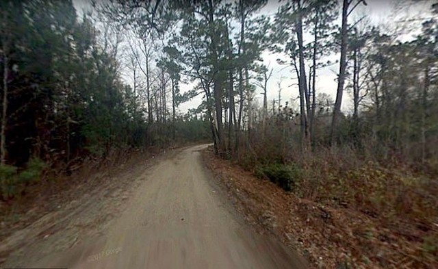 Đoạn đường ở quận Claredon, bang Nam Carolina, nơi nữ sinh Samantha bị sát hại hôm 30/3. Ảnh: Google Map.