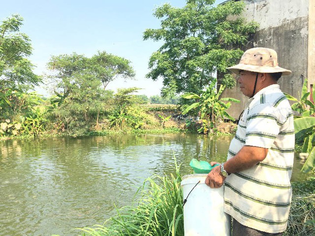 
“Tàn nhưng không phế” ông Lê Văn Nuôi ở xã Điện Thọ, thị xã Điện Bàn, tỉnh Quảng Nam đã vượt lên số phận xây dựng được cơ ngơi bạc tỷ bằng mô hình nuôi cá đầy ao.

