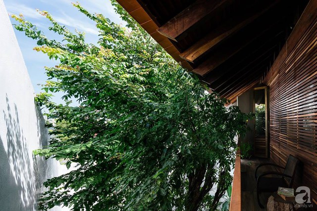 
Điểm đặc biệt thu hút của ngôi nhà chính là cách decor vật liệu thiên nhiên, bố trí cây cối một cách sáng tạo.
