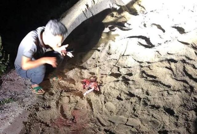 
Hiện trường vụ bé trai 7 tuổi ở Hưng Yên bị gần 10 con chó cắn tử vong. Ảnh Internet
