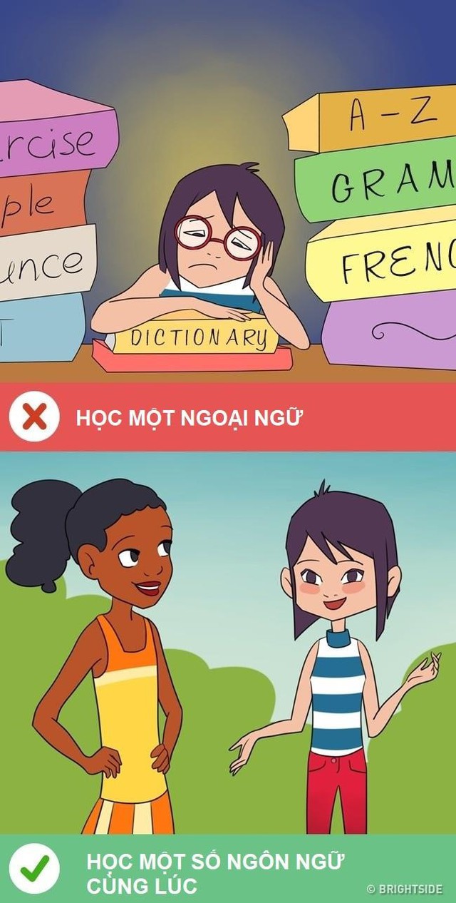 Không ít người cho rằng chỉ nên học một lúc một ngoại ngữ. Đương nhiên, không phải không hiệu quả, nó chỉ chưa phát huy hết khả năng của não bộ khi con người hoàn toàn có thể cùng lúc học vài ngoại ngữ.